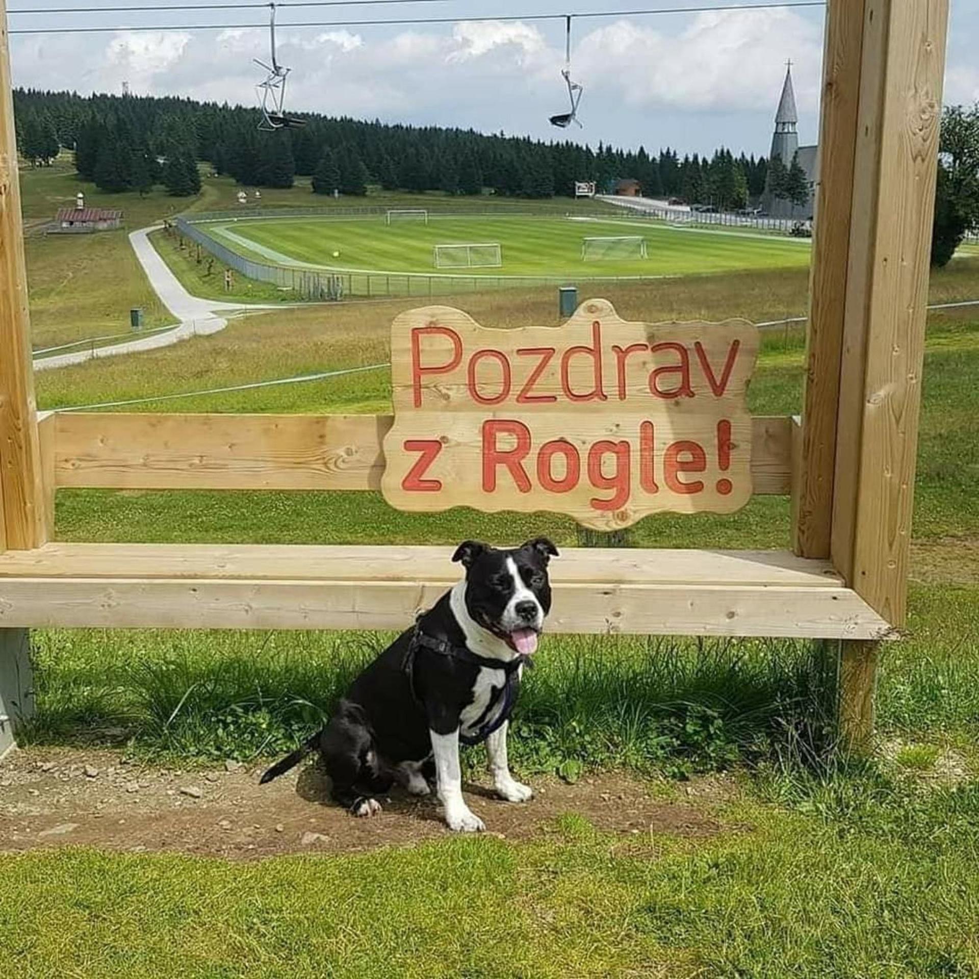 Zreče Rogla - Chalet Mojca Pokrajculja מראה חיצוני תמונה