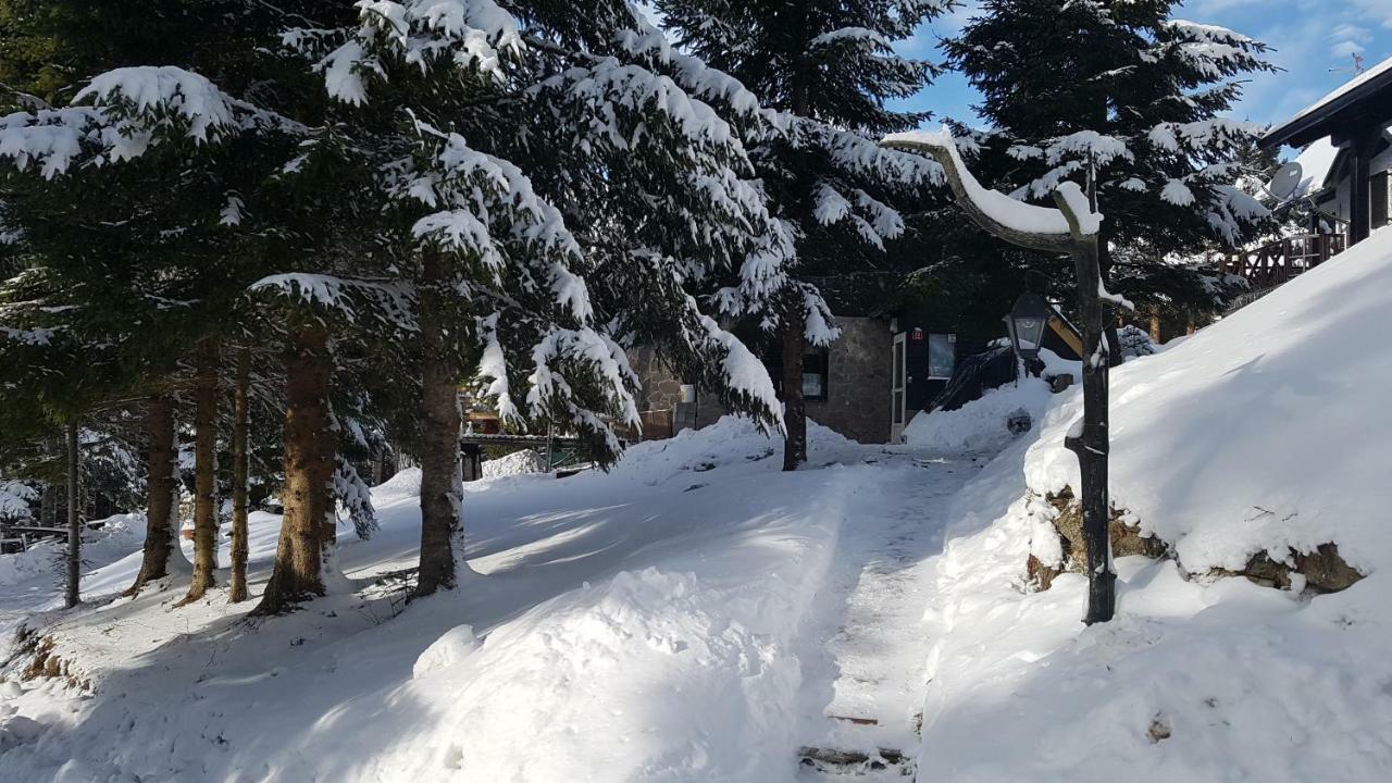 Zreče Rogla - Chalet Mojca Pokrajculja מראה חיצוני תמונה