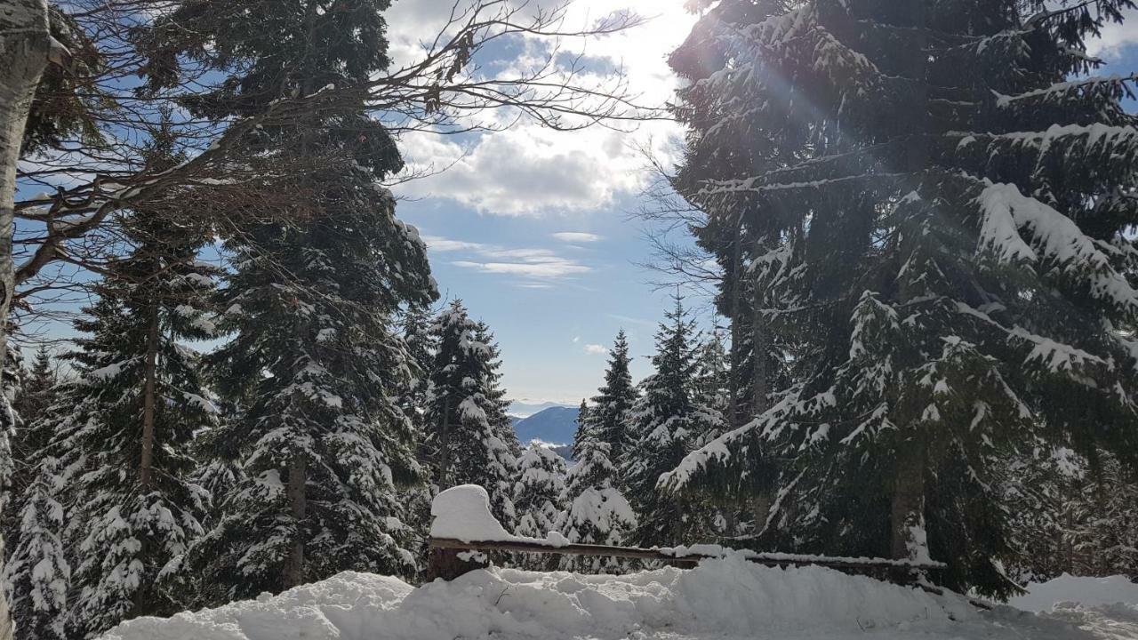 Zreče Rogla - Chalet Mojca Pokrajculja מראה חיצוני תמונה