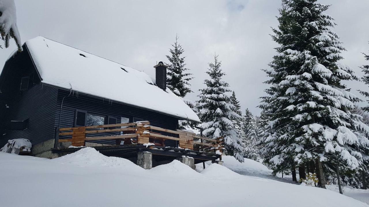 Zreče Rogla - Chalet Mojca Pokrajculja מראה חיצוני תמונה